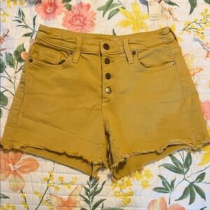 Universal Thread Button Fly Shorts
